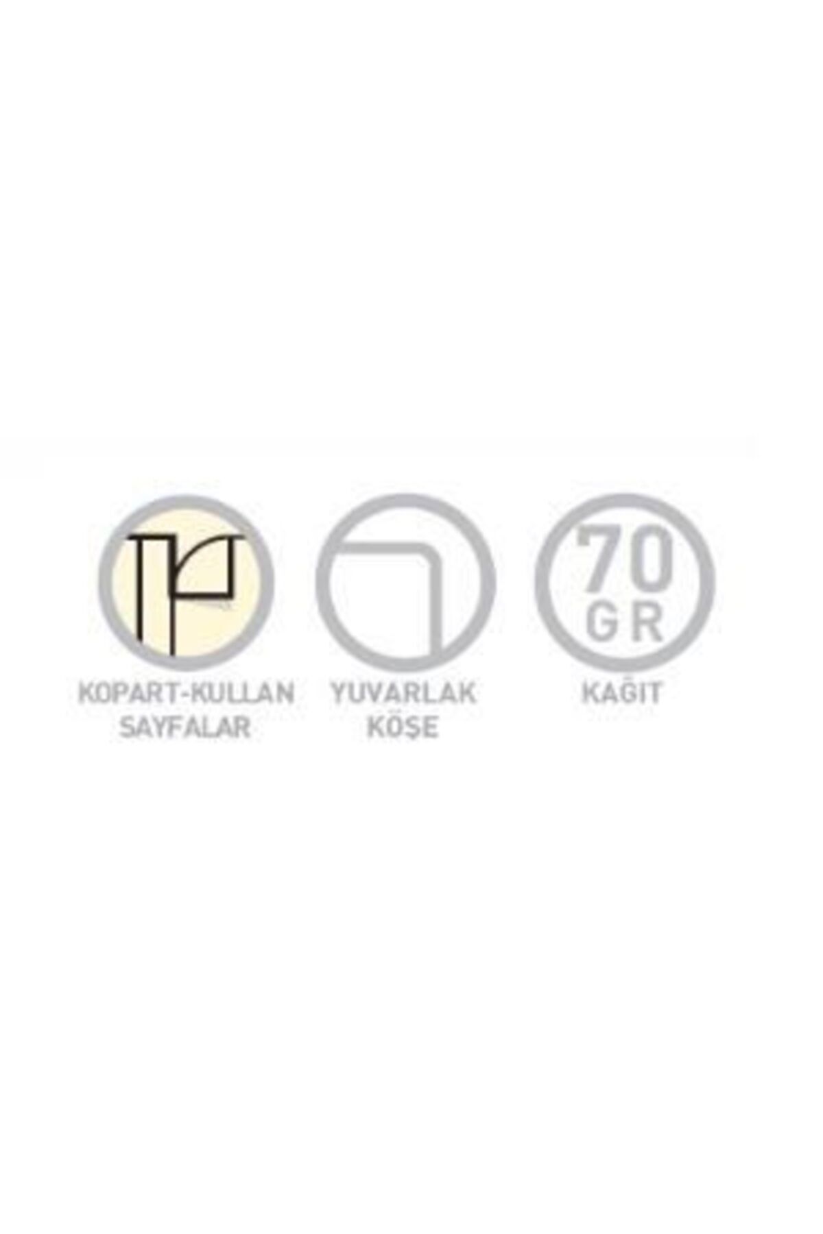 Gıpta-Royal Notes Hard Cover Notepad with 3 Separators 20x28cm 120 Sheets Checked (Pack of 3) 2