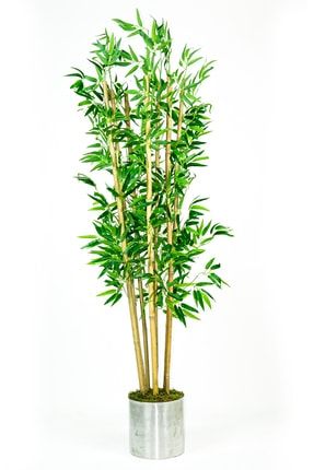 Yapay Bambu Metal Saksida 7 Govdeli Yapay Ağaç bambou0011