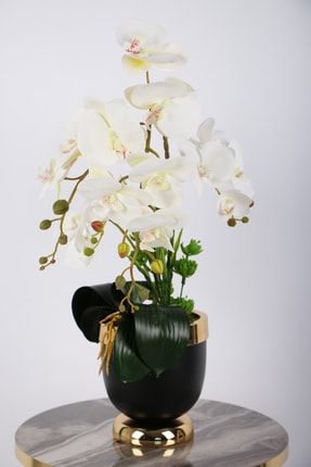 Metal Siyah-gold Saksıda Lüx 4lü Islak Orkide Beyaz YPCCK-FKYT-389