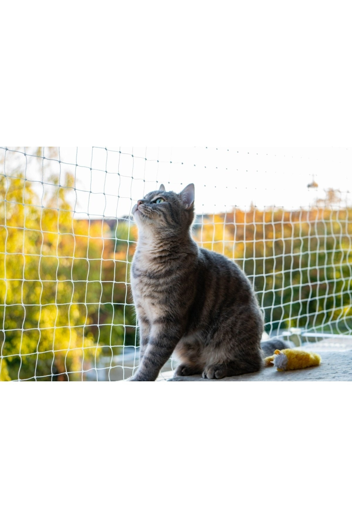 Nodes 200*600cm - Balkon Filesi Ağı - Kedi Filesi - Kuş Filesi - Çocuk Filesi - Beyaz