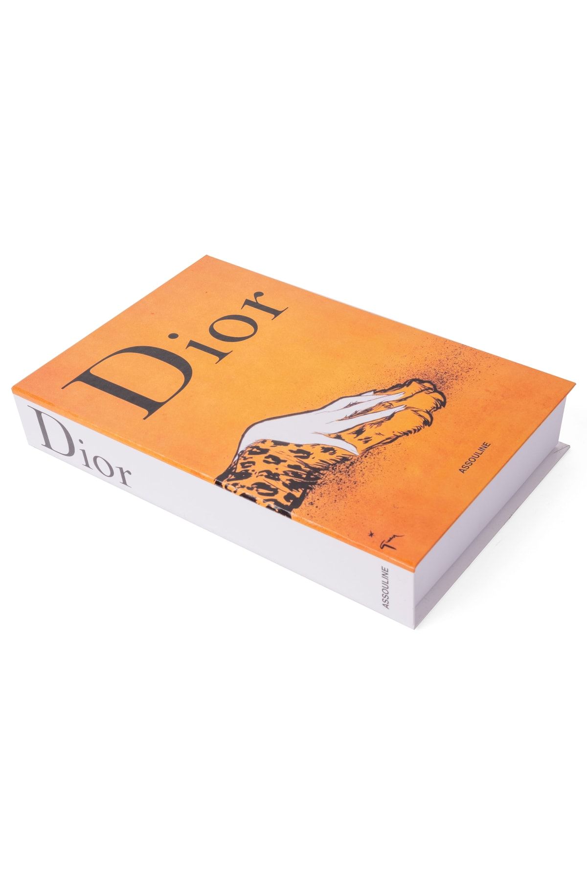 MagicHomeDecor-Dior Decorative Book Box 2