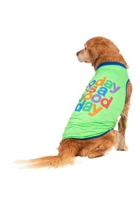 Green Good Day Big T-shirt Yeşil Büyük Köpek Tişörtü Büyük Köpek Kıyafeti (orta Büyük Irklar) 22856