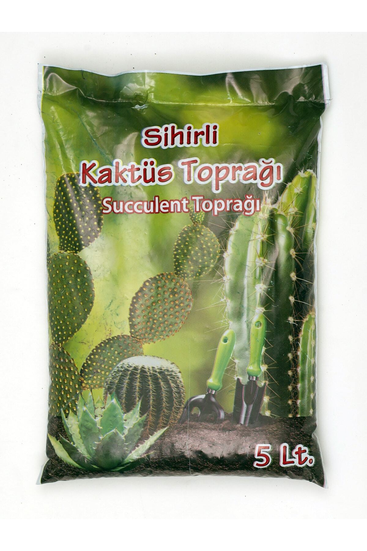 5 Lt Kaktüs Torağı