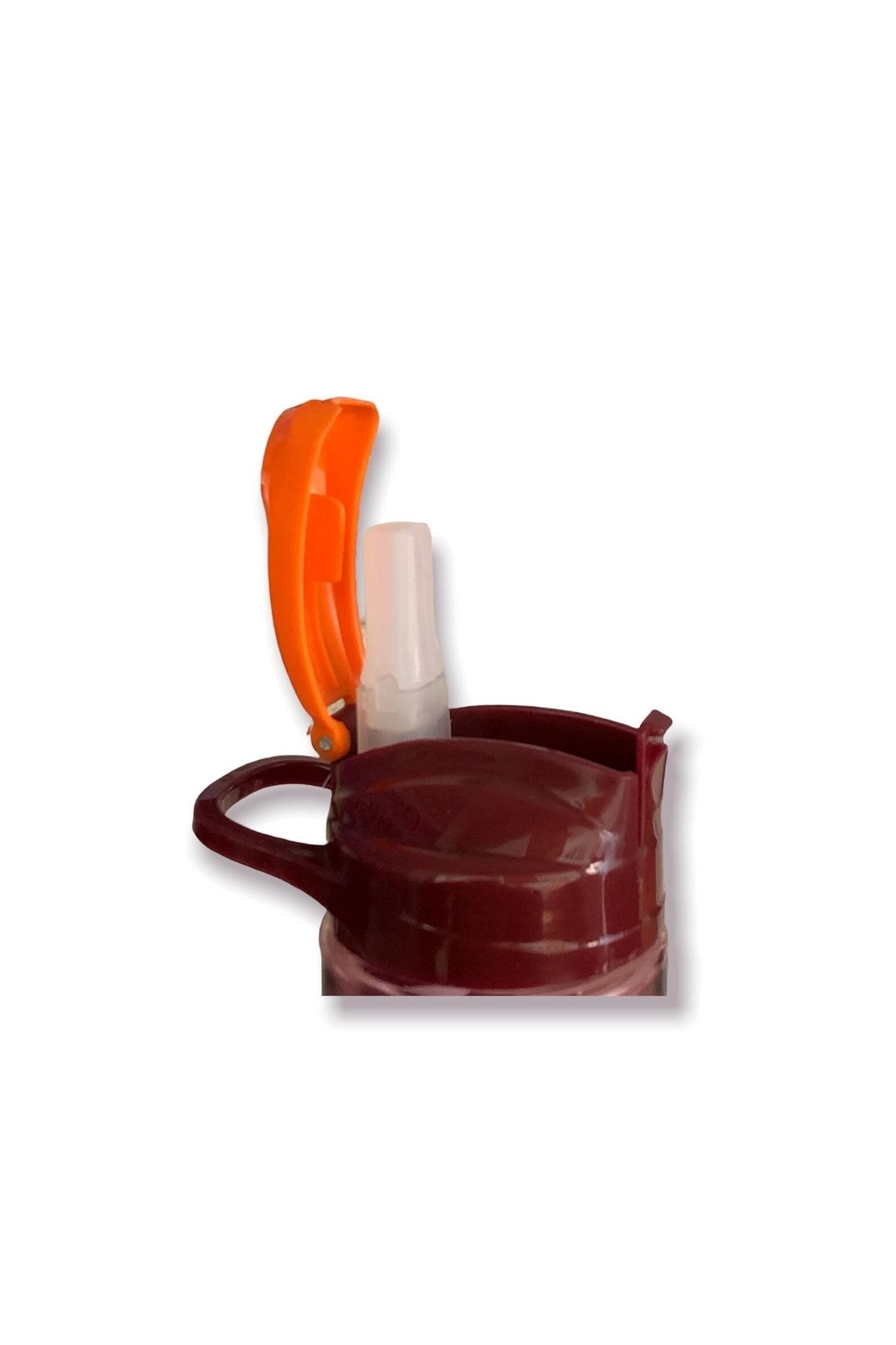 Gıpta-Amazon Tritan Flask with Straw 600ml - Dried Rose 2
