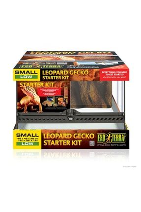 Ex Leopard Gecko Starter Kit P4107S8181