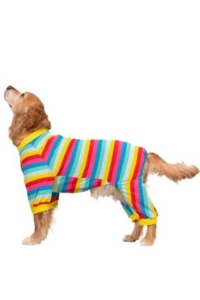 Colorfit Big Rompers Renkli Büyük Köpek Penye Pijama Tulum (15kg-45kg) 22950