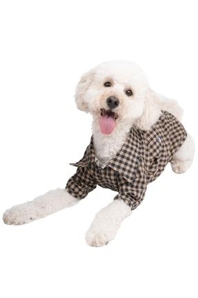 Brown Gingham Shirt Kahverengi Pötikare Gömlek Kedi Köpek Gömleği Kedi Köpek Kıyafeti 22405