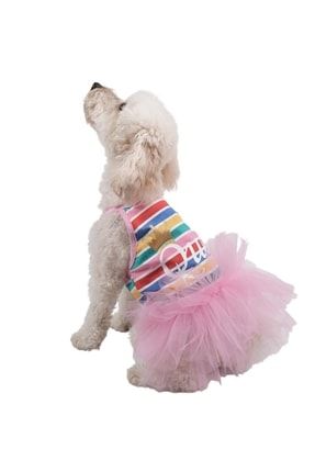 Pink Striped Queen Pembe Kraliçe Kedi Köpek Elbisesi Kedi Köpek Kıyafeti 22303
