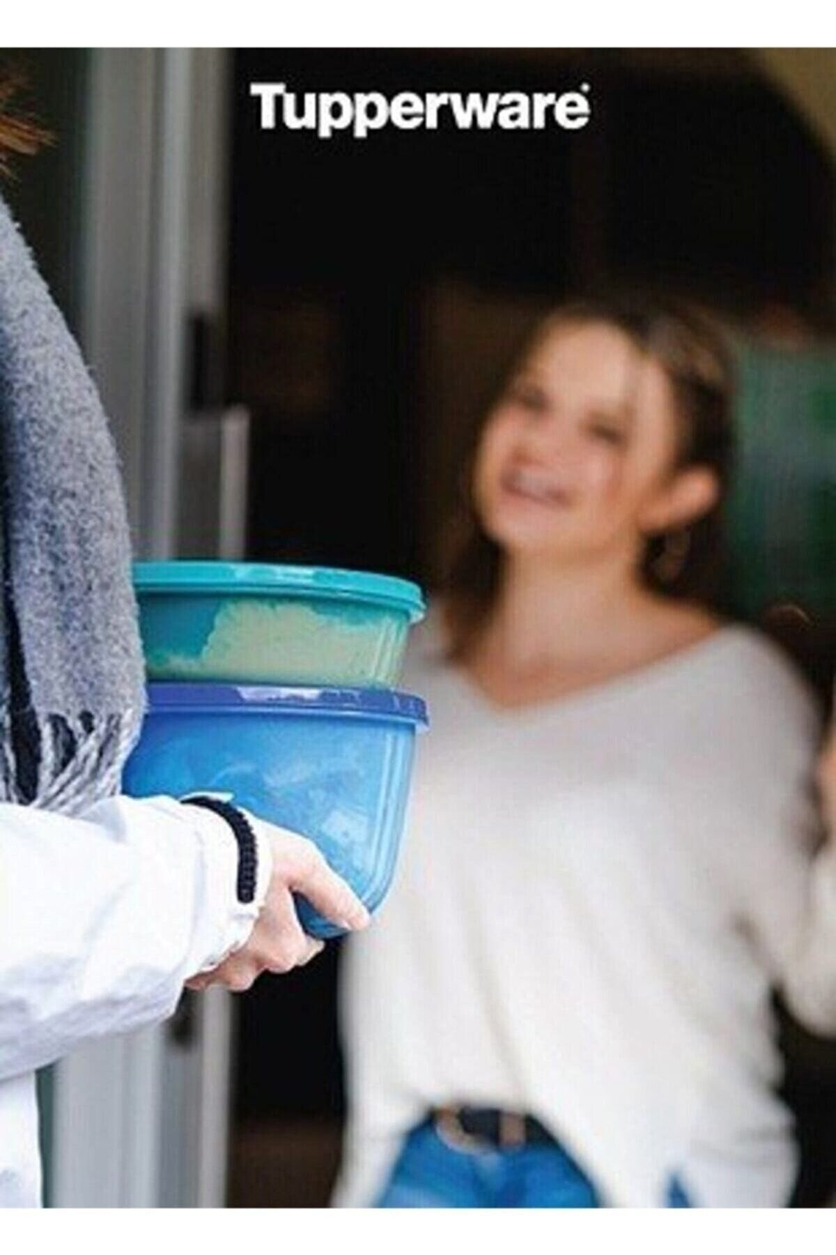 Tupperware-Set of 3 Violahome - Storage and Service Container 4