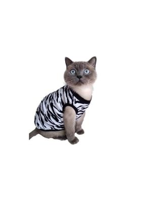 Zebra Desenli Kedi Köpek Kıyafeti Elbisesi Small/s/beden 1 ZebraDesenliS