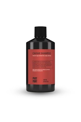 Havyar Saç Bakım Şampuanı - Caviar Hair Shampoo 250 ml PVT_CVR_SH_250