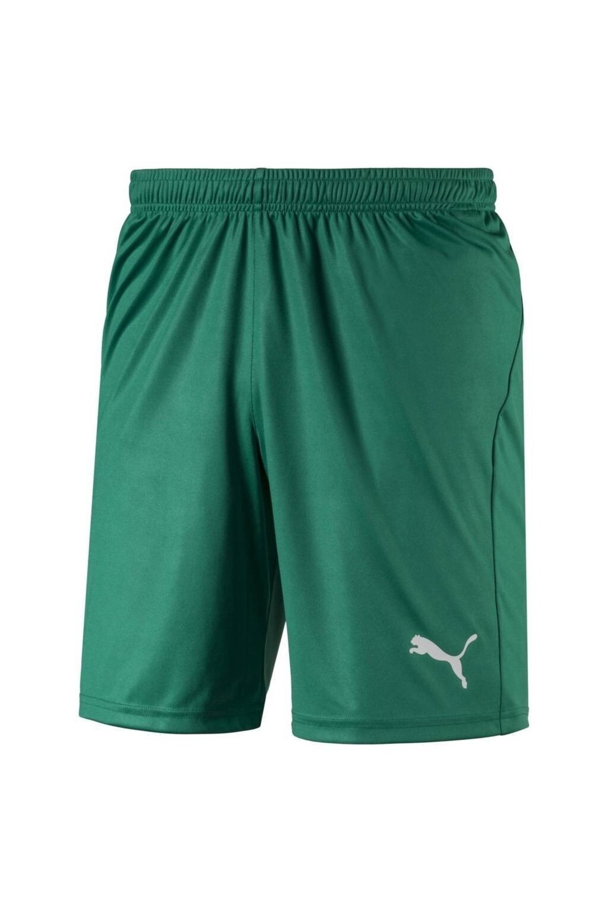 Puma Erkek Şort Liga Core With Brief 70361505