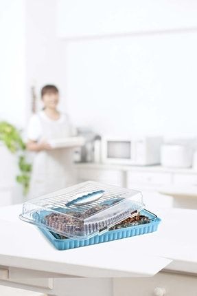 Kapaklı Kek Börek Saklama Taşıma Ve Sunum Kabı 43 Cm - Mavi TPI378