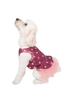 Tiny Hearts Dress Minik Kalpler Kedi Köpek Elbisesi Kedi Köpek Kıyafeti 22304