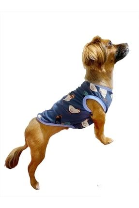 Hut Time Yazlık Köpek Tişörtü, Köpek Kıyafeti BNZ202205192049