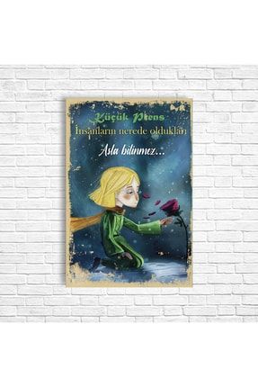 Küçük Prens Retro Ahşap Poster MGNSRGLSDRAP34