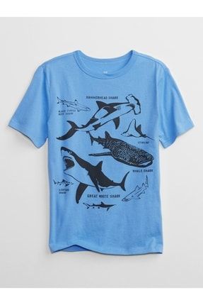 Erkek Çocuk Mavi Grafik Baskılı T-shirt 877300