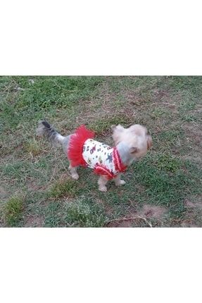 Kedi Köpek Yazlık Figüranlı Tütü Elbise SSK-8889992345678111200777