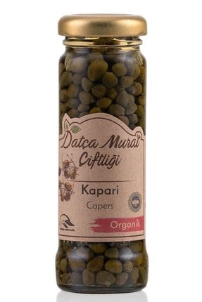 Organik Kapari 60 gr Capers 180015