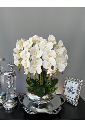 5 Dal Islak Lateks Dokulu Orkide Aranjman Ufo Gümüş Renk Saksıda LLTH5PRUF01