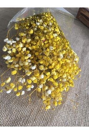Kuru Çiçek 1.kalite Şoklanmış Dökülmeyen Natural Sarı Cipso Demeti TYC00462814014