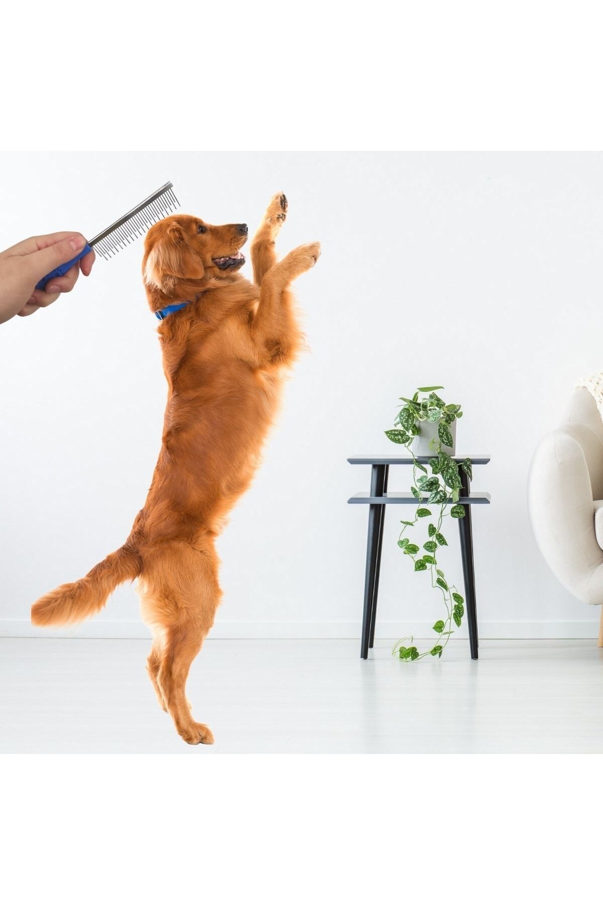 Hyd-Single Sided Metal Threaded Hair Lightener Cat Dog Grooming Brush 6