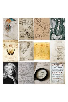 Van Gogh, Newton, Archimed, Math Poster Duvar Kağıdı Seti DK232