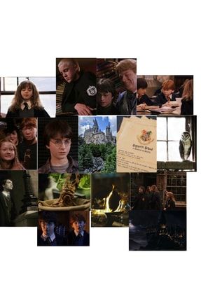 Harry Potter Hp Hogwarts Dobby Poster Duvar Kağıdı Seti DK246
