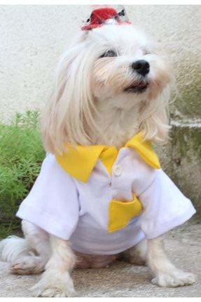 Polo Yaka Cepli Beyaz Sari Köpek Kedi Kıyafeti & Elbisesi Tshirt pttptkyf00030