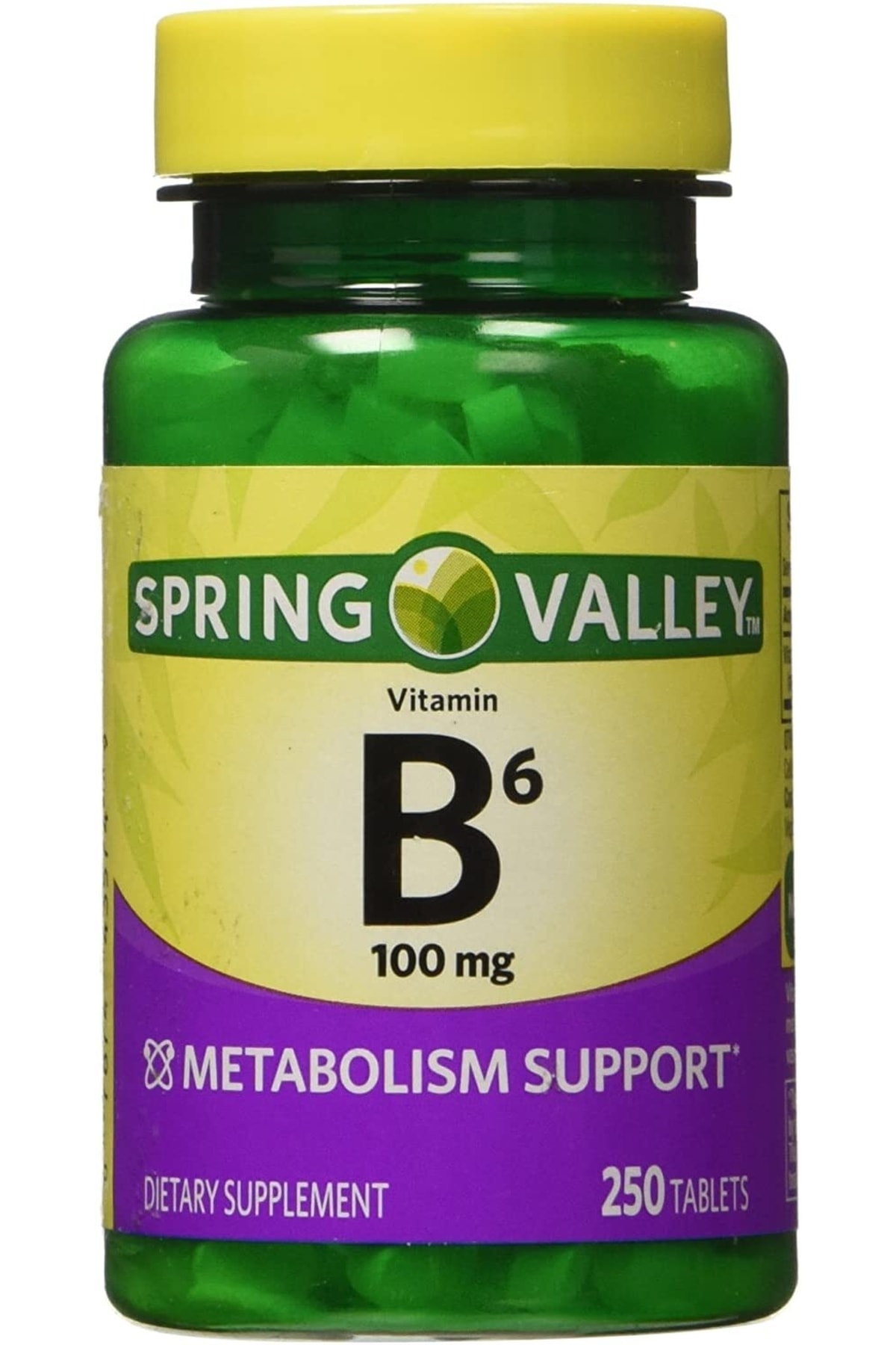 SPRİNGDAY Spring Valley Vitamin B-6 100 Mg 250 Tablets