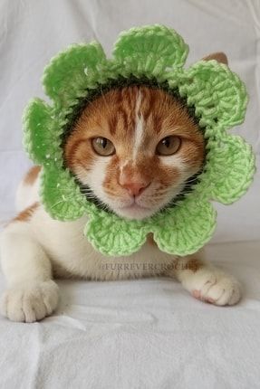 Yeşil Bandana Çiçek Tasma Yazlık Örgü Kedi Köpek Şapkası Evcil Hayvan Şapkası Pet Aksesuarı FC-2519122144