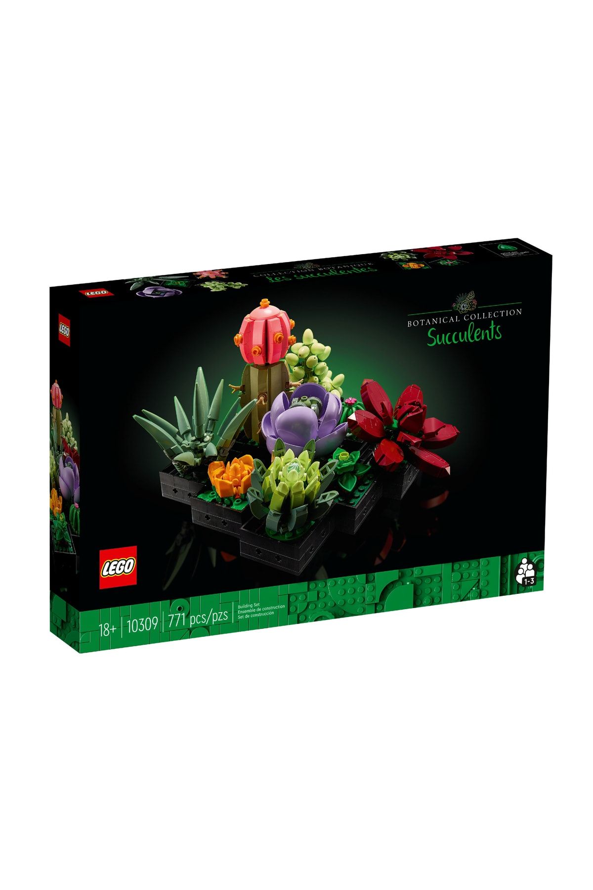 ست ساخت سازه ®Creator مدل ساکولنت‌ها LEGO شماره 10309 برای بزرگسالان (501-1000 قطعه) LEGO