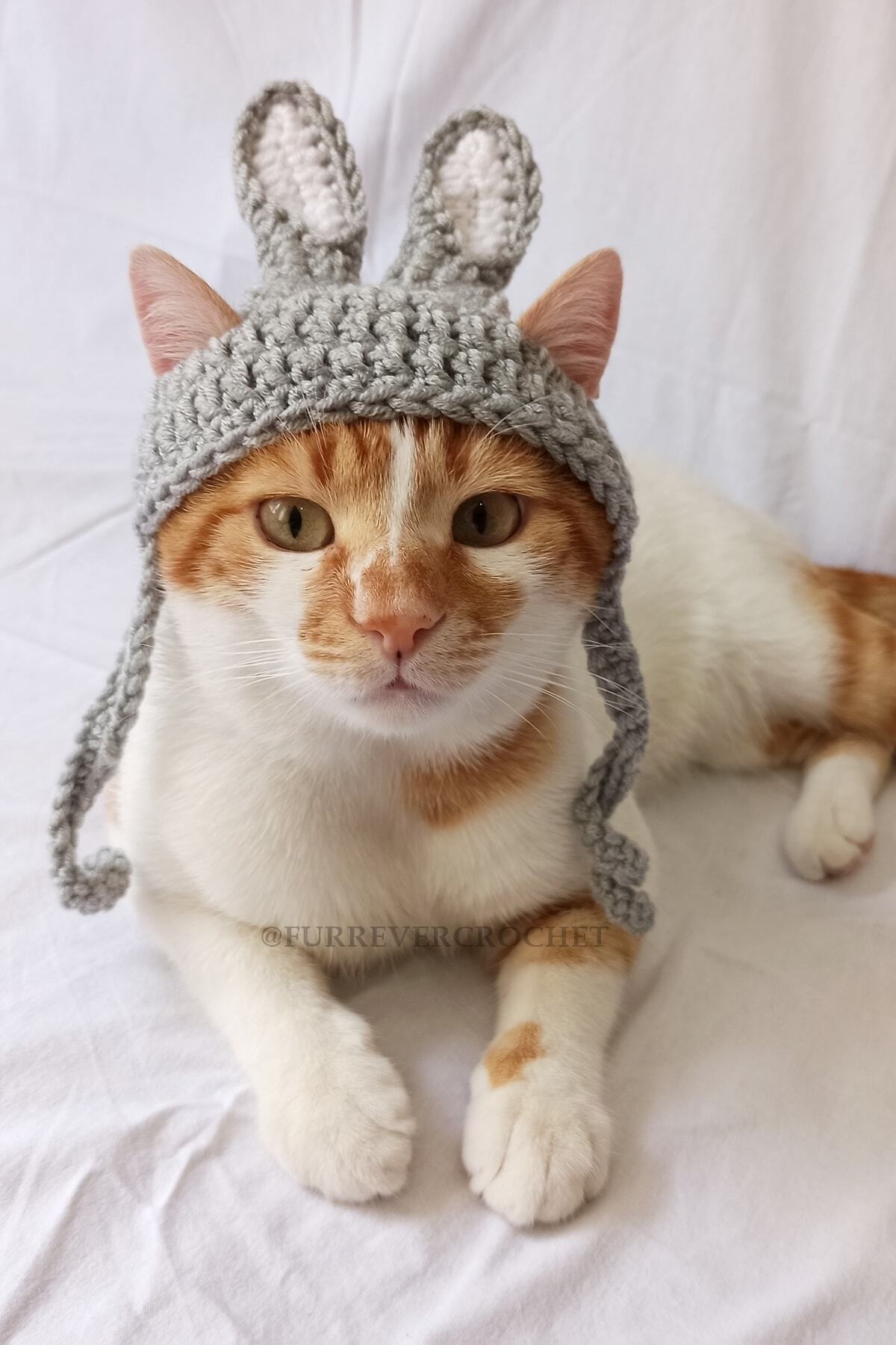 Furrever Crochet Gri Beyaz Tavşan Bere Örgü Kedi Köpek Şapkası Evcil Hayvan Şapkası Pet Aksesuarları