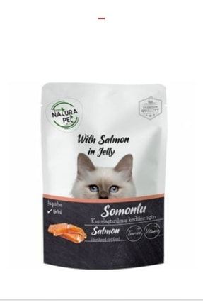 Kısır Kediler Için Somonlu % 9 Proteinli Somonlu Yetişkin