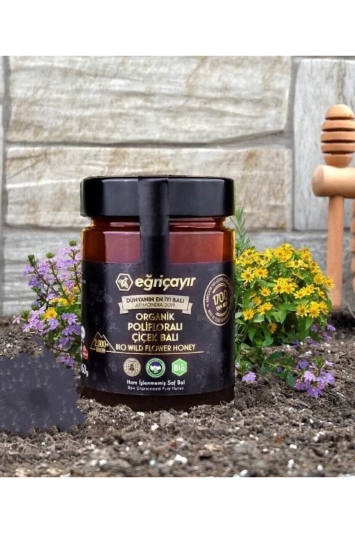 Eğriçayır Organik Polifloralı Çok Çiçekli Bal 450g