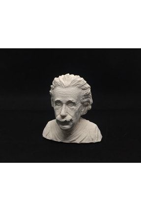 Albert Einstein Dekoratif Biblo Heykel Büst Dekor Obje Albrt