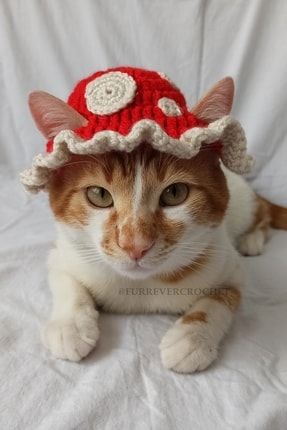 Mantar Kırmızı Bucket Şapka Örgü Kedi Köpek Şapkası Evcil Hayvan Şapkası Pet Aksesuarları FC-132119818