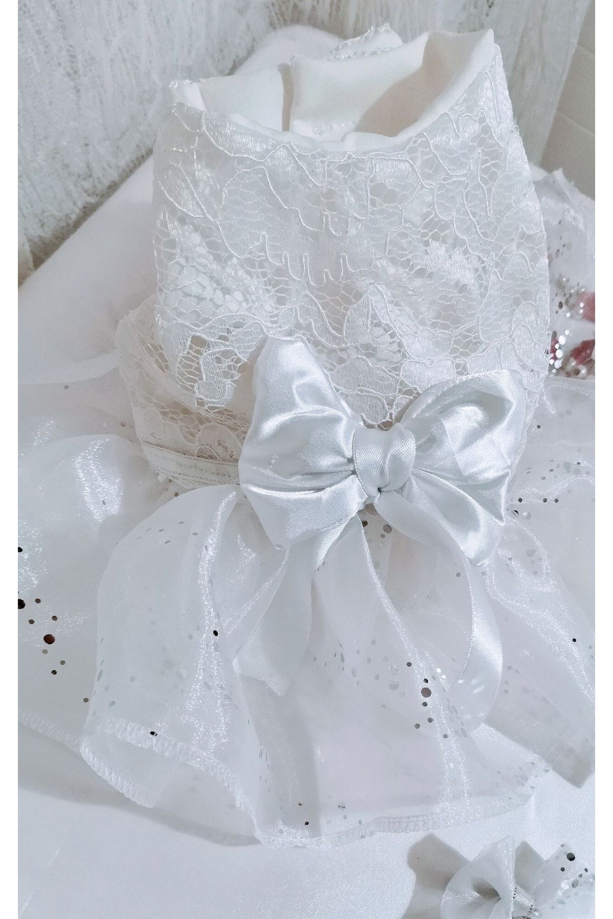 atelyu-Cat Dog Clothes Bridesmaid Dresses White Dress with Lace 4
