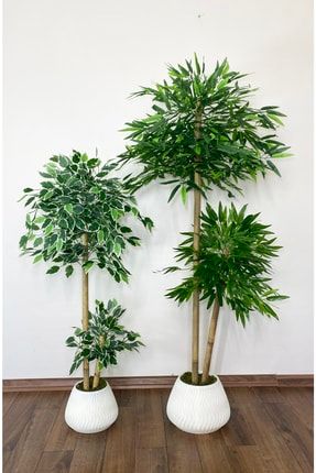 Yapay Bambu Ağacı 160cm + 125cm Alaca Benjamin Ağacı 150555512