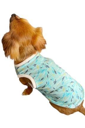 Offshore Yazlık Köpek Tişörtü, Köpek Kıyafeti BNZ202206041530