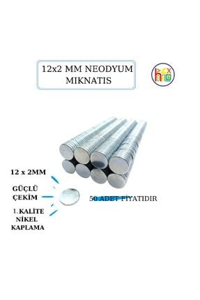 Neodyum Mıknatıs Nikel Kaplama 12mm X2mm (50 Adet) 5877078