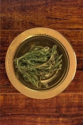 Kurt Pençesi, Kibrit Otu, Club Moss Herb, Lycopodium Clavatum, 15 G MA.CAY.158