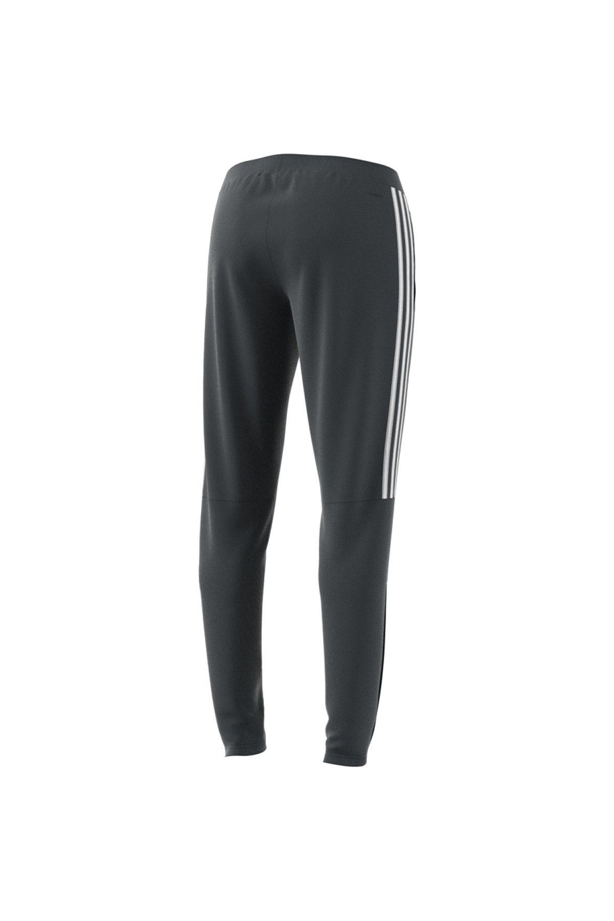adidas Sere19 Trg Pnt