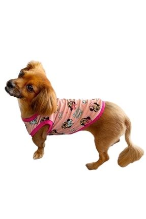 Pembe Sevimli Fare Yazlık Köpek Tişörtü, Köpek Kıyafeti BNZ202206041527