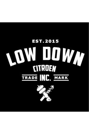 Low Down Citroen Arka Cam Sticker EST-2015-15