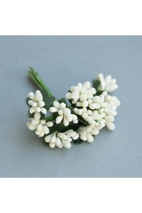 Cipso Pıtırcık Çiçek 144 Adet Beyaz BFLO-1C