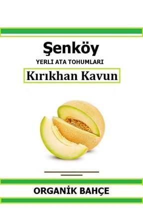 Yerli Kırıkhan Ananas Kavun Tohumu Doğal Ata Tohum Pakette 20 Tohum + Hediye Sebze Tohumu Sk99