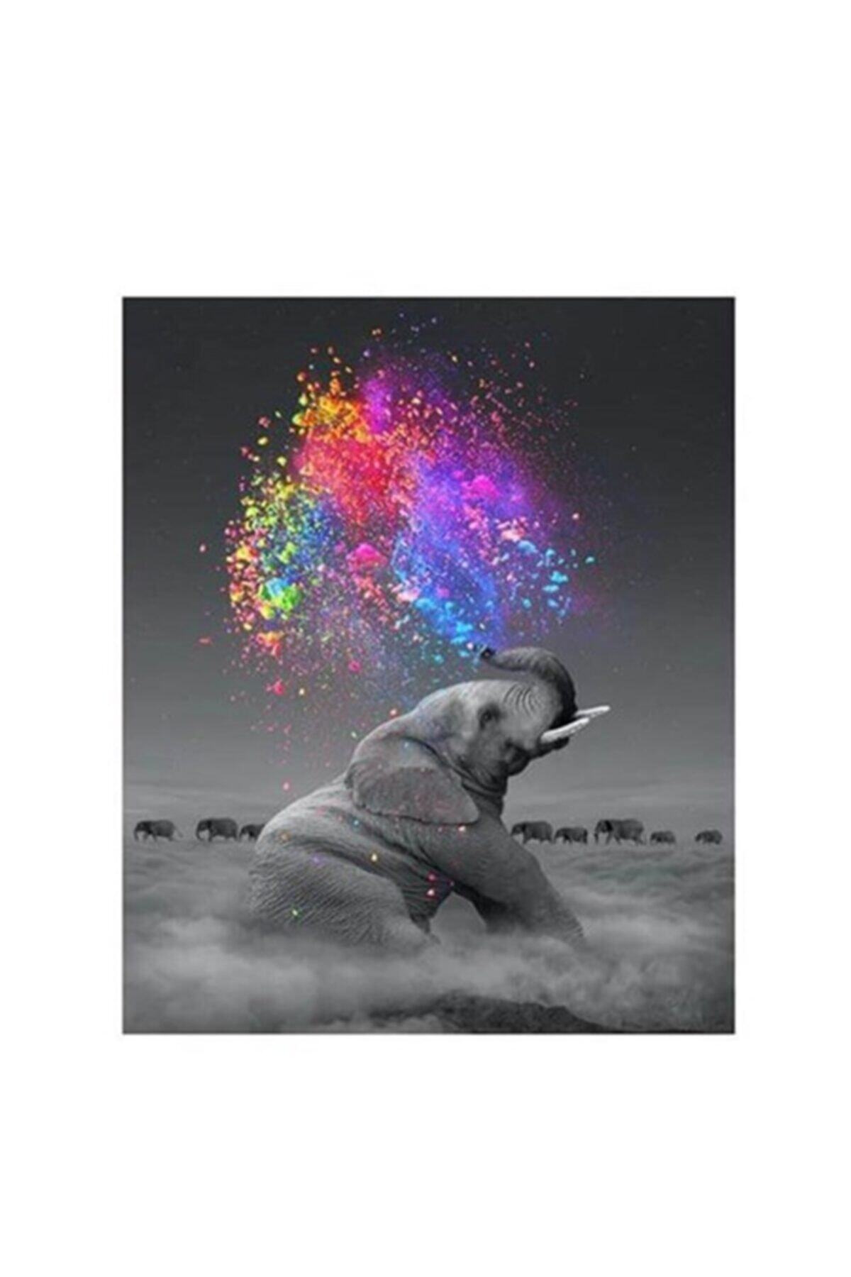 Patladi Gitti Renk Yagmuru Ve Fil Sayilarla Boyama Cerceveli Hobi Seti 50x65 Cm Fiyati Yorumlari Trendyol