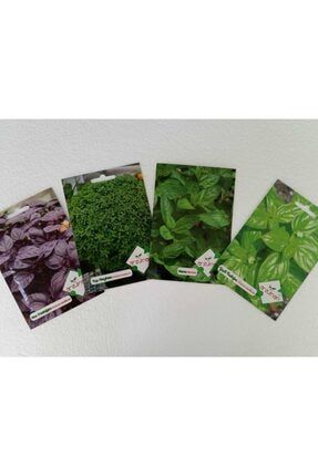 Sebze Tohumları 4' Lü Set Mor Reyhan Top Fesleğen Yeşil Fesleğen Nane Tohumu Aromatik Bitki Tohum PP012
