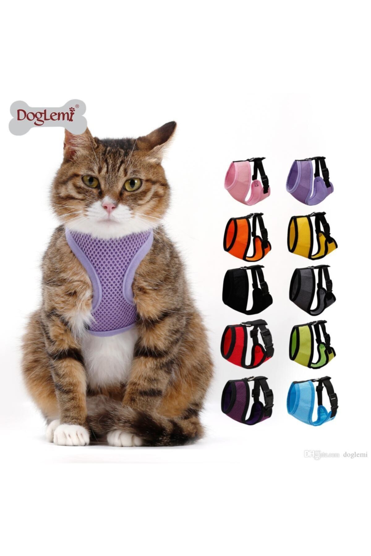 ozzy kedi tasmasi fiyatlari ve yorumlari en ucuzu akakce